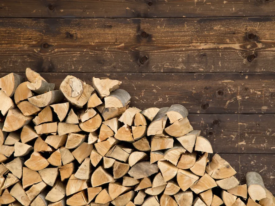 Seasoned hardwood logs from our own tree surgery work