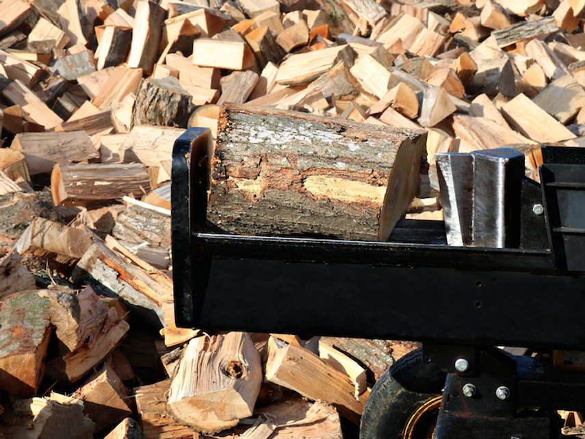 Garden clearance and maintenance in Esher, Surrey