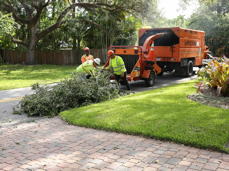 Wood chipper and garden clearance on a driveway in Weybridge